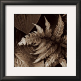 Buy Painted Ferns II at AllPosters.com