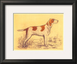 Hunting Dogs, Griffon