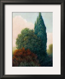 Buy Tuscan Trees II at AllPosters.com