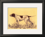 Hunting Dogs, Pointer