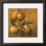 Buy Orange Branch at AllPosters.com