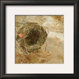 Buy Nest Red Leaf at AllPosters.com