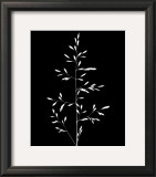 Wild Grasses I