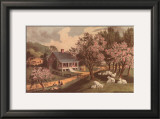 American Homestead Spring