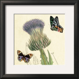Buy Field Thistle at AllPosters.com