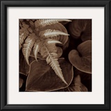 Buy Painted Ferns I at AllPosters.com