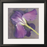 Buy Parfum at AllPosters.com