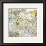 Buy Feather at AllPosters.com