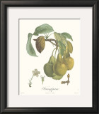 Buy Pears, Frangipane at AllPosters.com