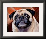 Snaggle Pug
