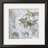 Buy Hummingbirds II at AllPosters.com