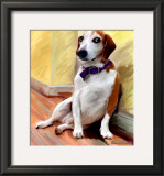 Being a Beagle
