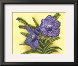 Buy Vibrant Orchid III at AllPosters.com