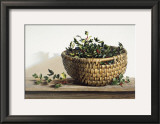 Buy Holly at AllPosters.com
