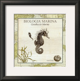 Biologia Marina III
