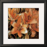 Buy Apricot Dreams I at AllPosters.com