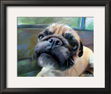 Walrus Pug