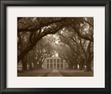 Buy Oak Alley at AllPosters.com
