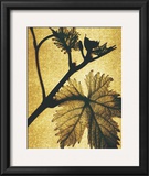 Buy Golden Time II at AllPosters.com