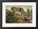 Buy Curiosity at AllPosters.com