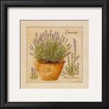 Herbes de Provence, Lavande