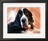 Springer