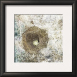 Buy Nest Egg at AllPosters.com