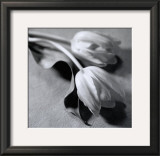 Buy Two Tulips at AllPosters.com