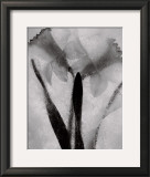 Buy Twins Forever at AllPosters.com