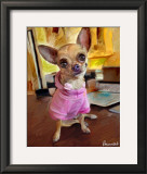 Chihuahua Bella