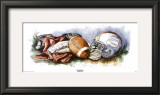 Buy Touchdown at AllPosters.com