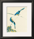Buy Birds at AllPosters.com