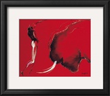 Corrida II