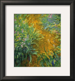 Buy The Path in the Iris Garden at AllPosters.com