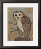 Ornate Owl II