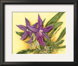 Buy Vibrant Orchid IV at AllPosters.com