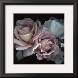 Buy Romance at AllPosters.com