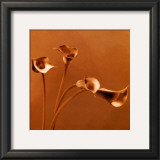 Buy Callas at AllPosters.com