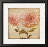Buy Dynamite Dahlia II at AllPosters.com