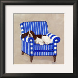Springer on Blue