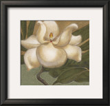 Buy Spring Magnolia I at AllPosters.com