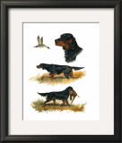 Buy Gordon Setter at AllPosters.com