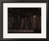Twilight and Reverie