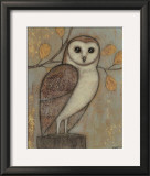 Ornate Owl I