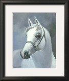 Buy Palomino at AllPosters.com