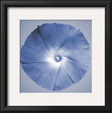 Buy Oceana Flora I at AllPosters.com