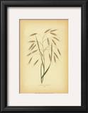 Buy Grasses II at AllPosters.com