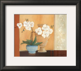 Buy Weibe Orchideen II at AllPosters.com