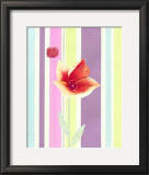 Flowers and Stripes IV