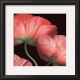 Buy Celebration II at AllPosters.com